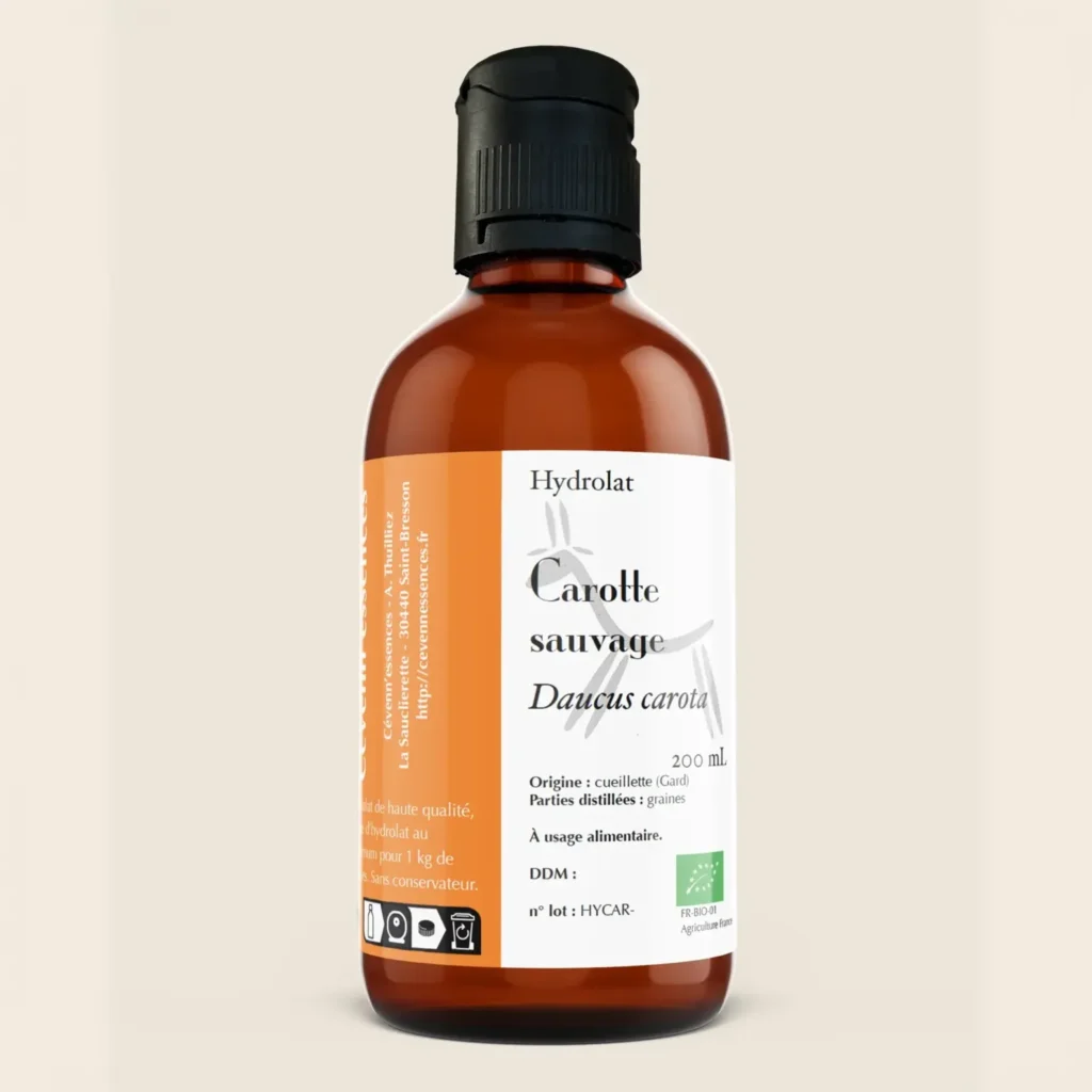 Hydrolat de carotte sauvage