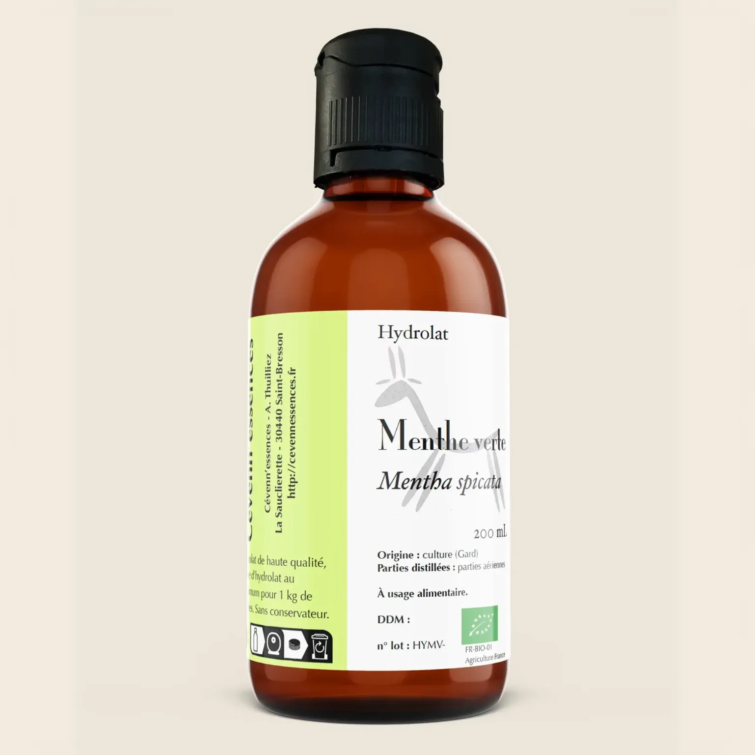 Hydrolat de menthe verte