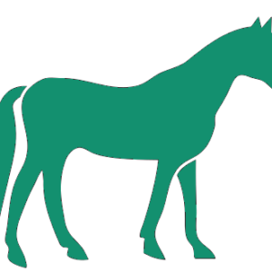 Pour les chevaux